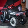 Квадрицикл Bizon YK250 LUX EFI (Серый)