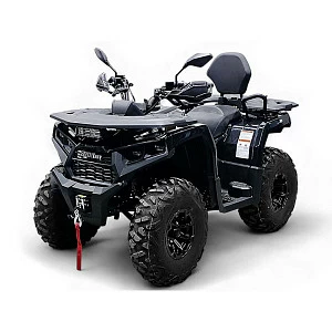 Квадрицикл Bizon YK250 LUX EFI (Черный)