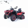 Квадроцикл (снегоболотоход) Таврида SFA 1000 (красный/красный)