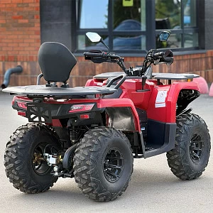 Квадрицикл Bizon YK200 BASIC CARB (Красный)